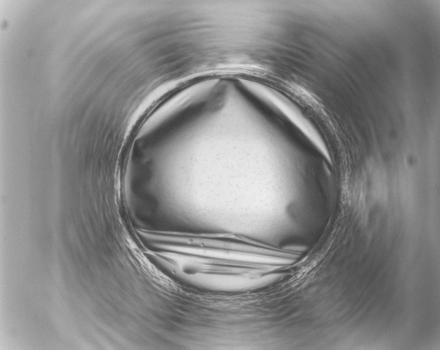 X0000054471420200508270118