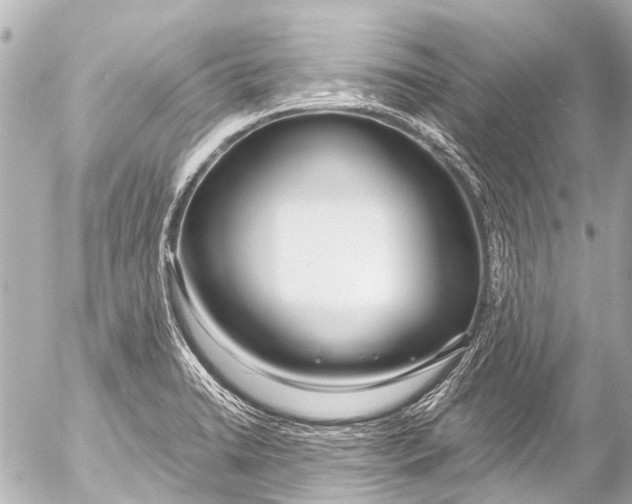 X0000054471422200508270118