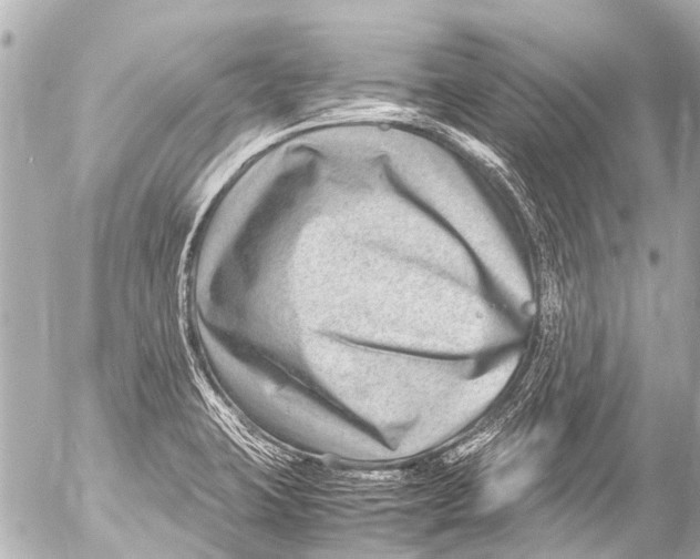 X0000054471423200508270118