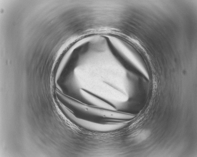 X0000054471424200508270118