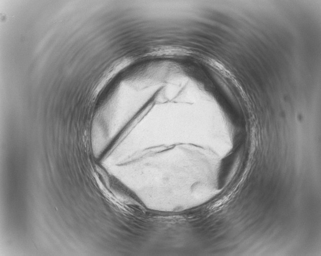 X0000054471425200508270118