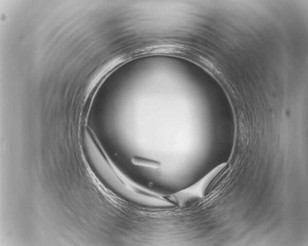 X0000054471426200508270118