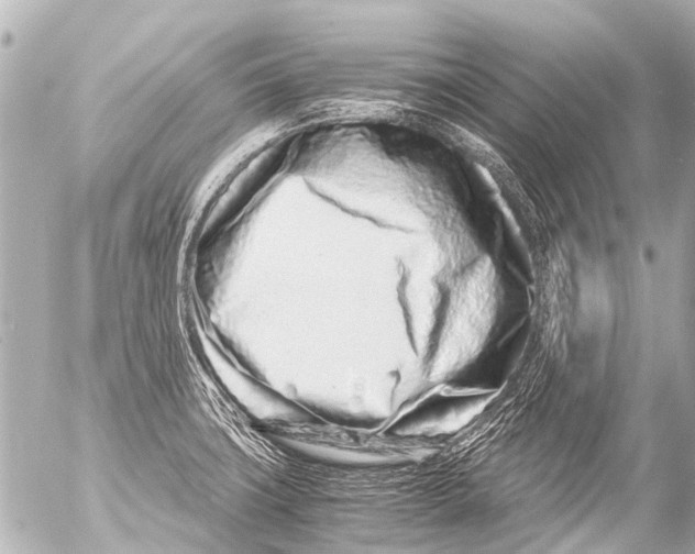 X0000054471427200508270118