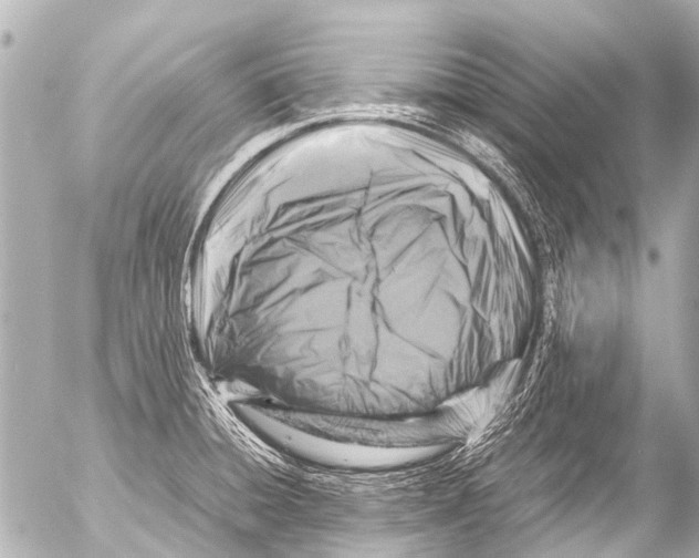 X0000054471428200508270118