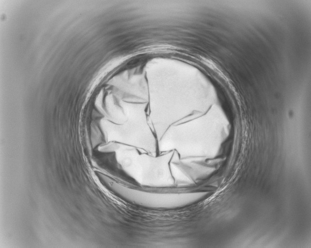 X0000054471429200508270118