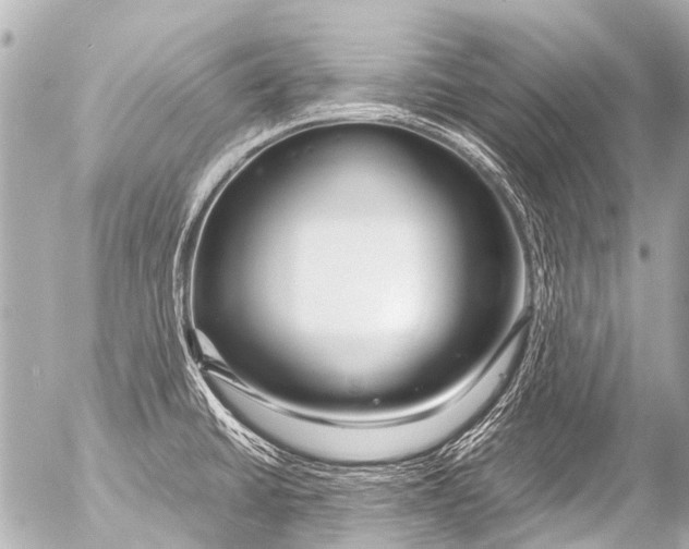 X0000054471430200508270118