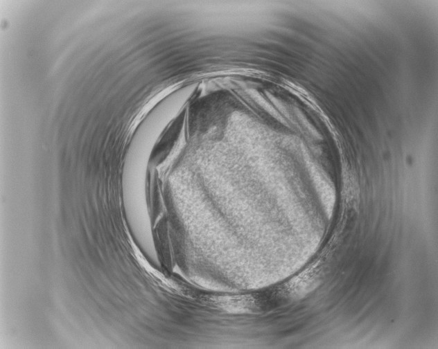 X0000054471433200508270118