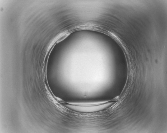 X0000054471434200508270118