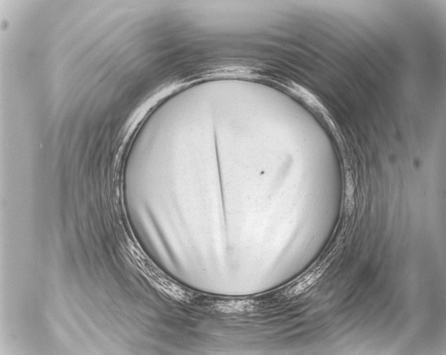 X0000054471435200508270118