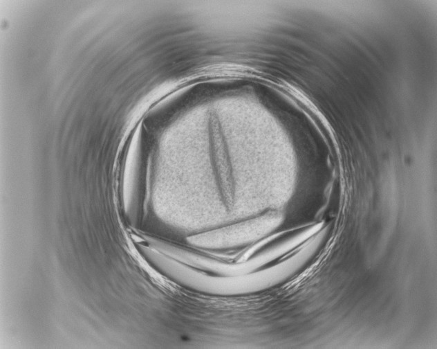 X0000054471437200508270118