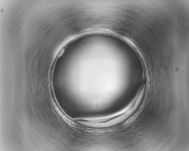 X0000054471438200508270118