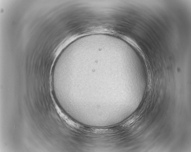 X0000054471439200508270118