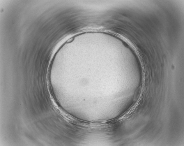 X0000054471440200508270118