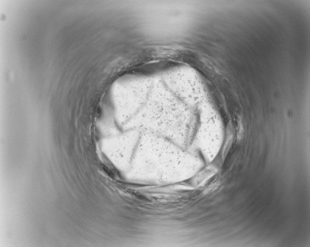 X0000054471441200508270117