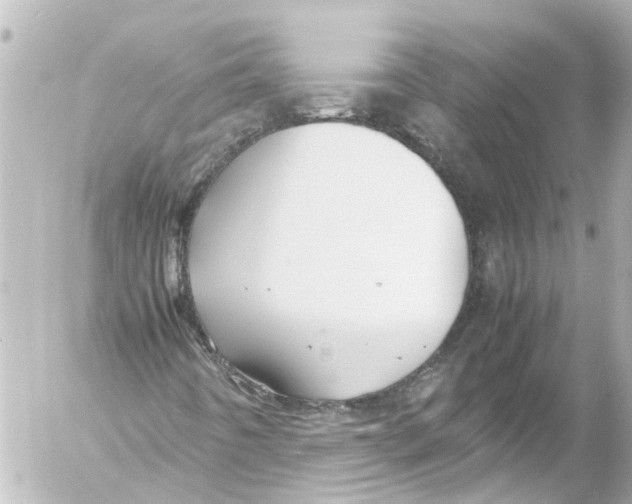 X0000054471442200508270117