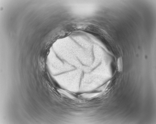 X0000054471443200508270117