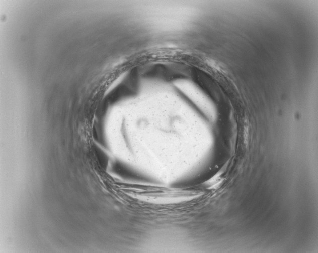 X0000054471445200508270117