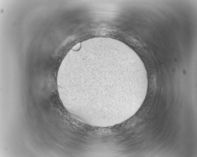 X0000054471446200508270117