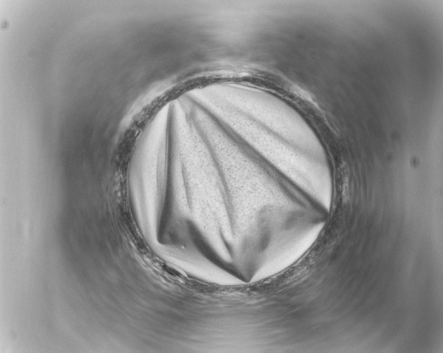 X0000054471448200508270117