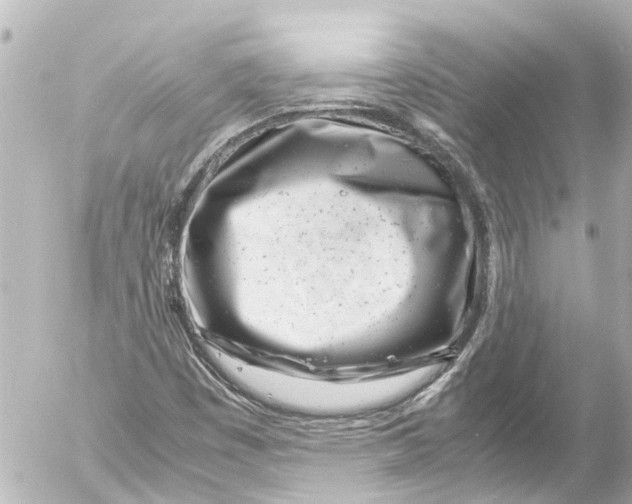 X0000054471449200508270117