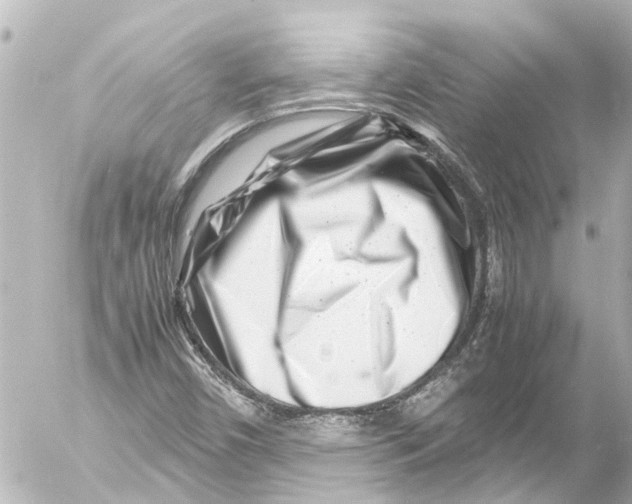 X0000054471450200508270117