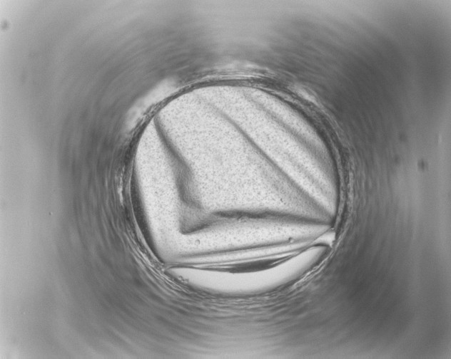 X0000054471451200508270117