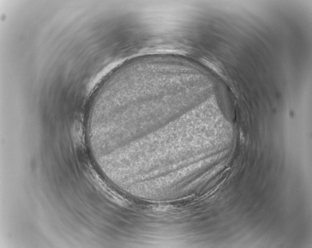 X0000054471452200508270117