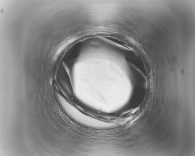 X0000054471453200508270117