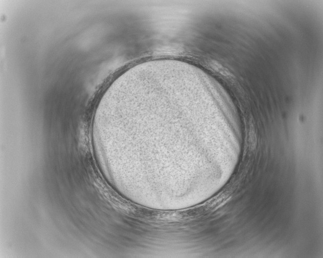 X0000054471454200508270117