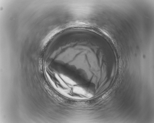 X0000054471455200508270117