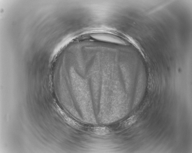 X0000054471456200508270117