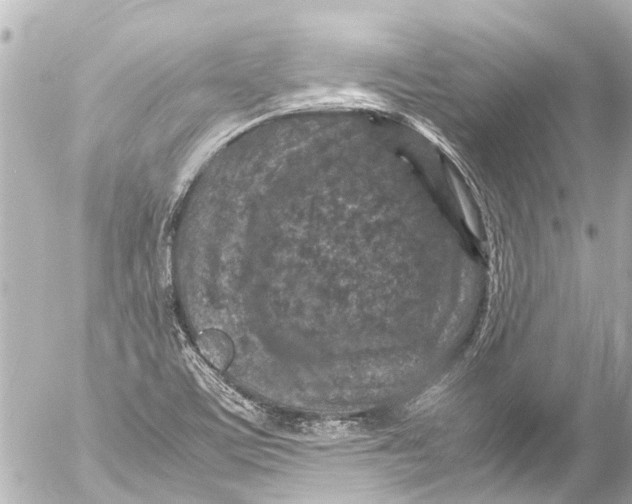 X0000054471459200508270117