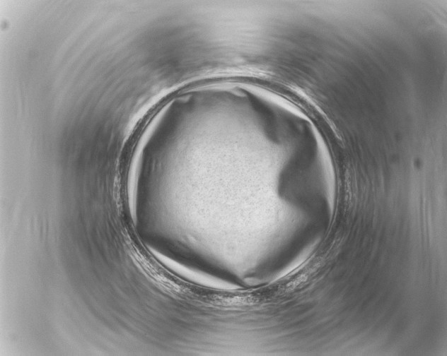 X0000054471460200508270117