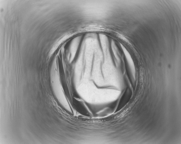 X0000054471461200508270117