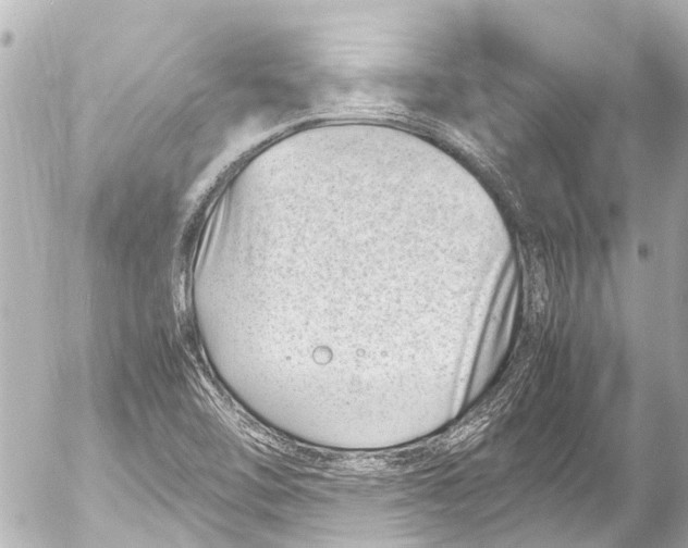 X0000054471462200508270117