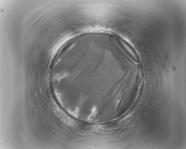 X0000054471463200508270117