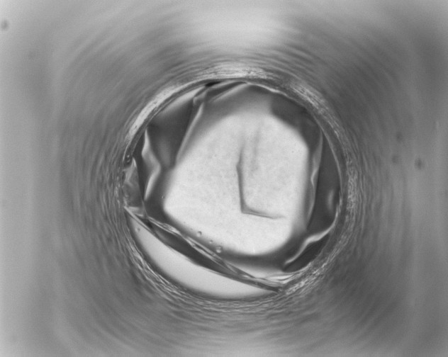 X0000054471465200508270117