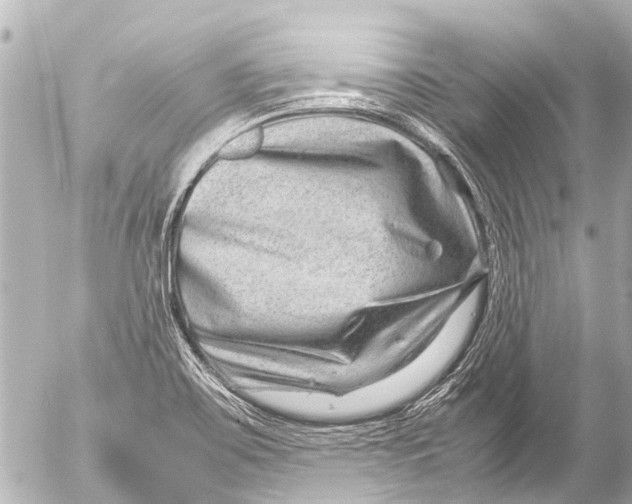 X0000054471467200508270117