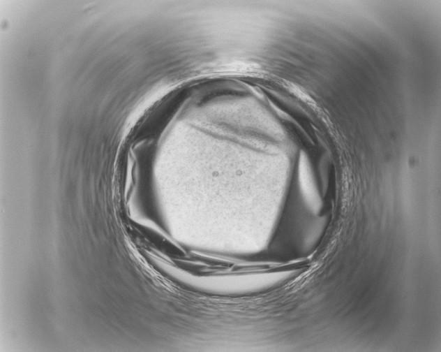 X0000054471469200508270117