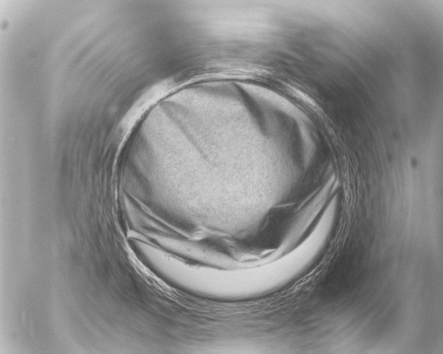 X0000054471471200508270117