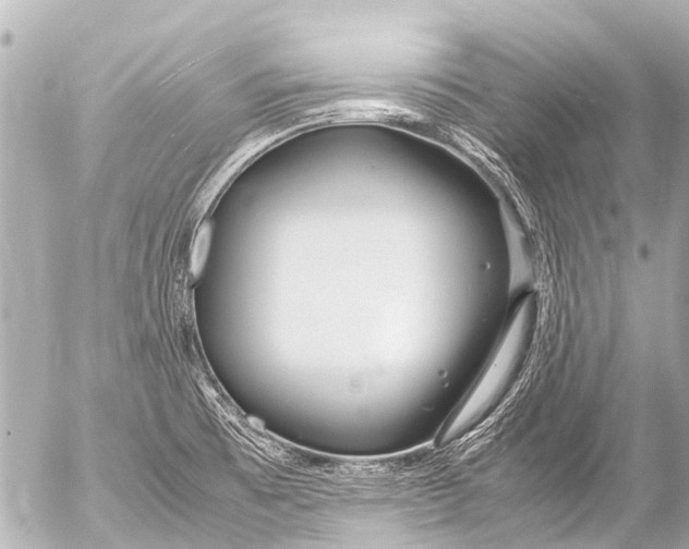 X0000054471473200508270117