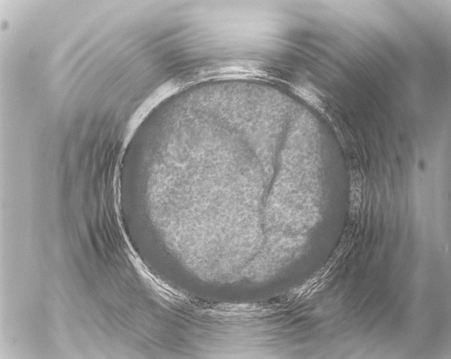 X0000054471474200508270117