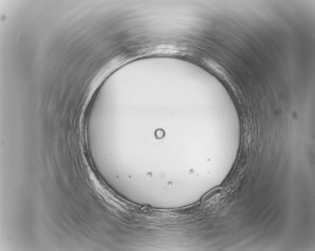 X0000054471475200508270117