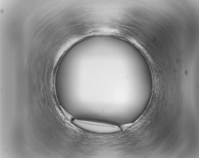 X0000054471477200508270117