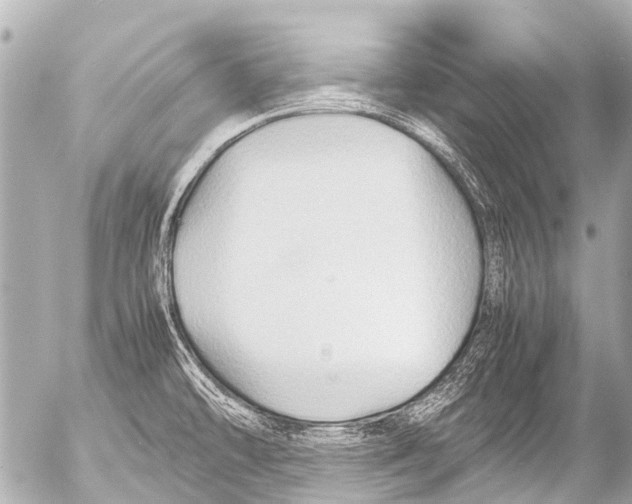 X0000054471478200508270117