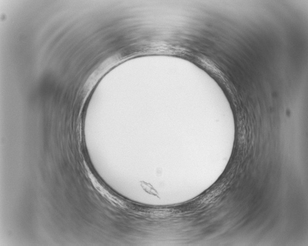 X0000054471479200508270117