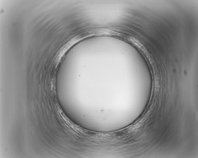 X0000054471481200508270117