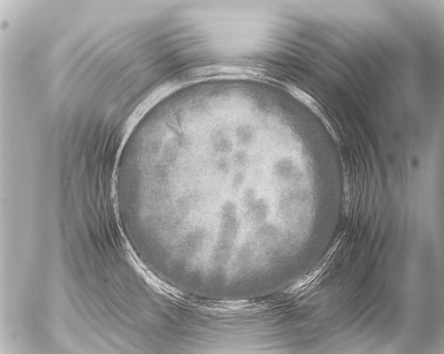 X0000054471482200508270117