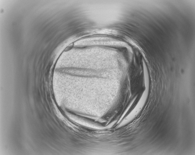 X0000054471483200508270117