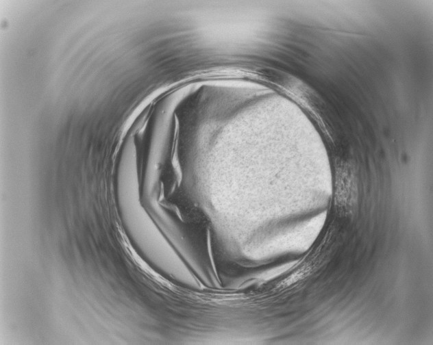 X0000054471484200508270117